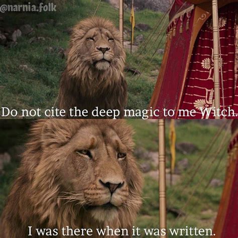Lion witch wardrobe meme